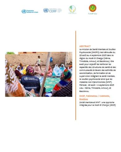 Rapport de Mission – Santé Mentale et MNT dans le Hodh El Chargui